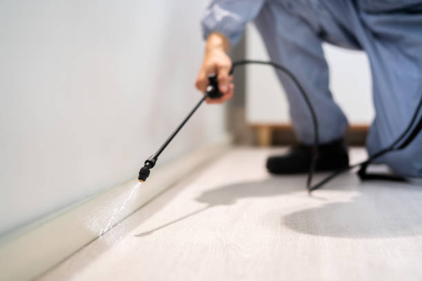 Licensed Termite Control service in Hermitage, PA - Nex Pest Control