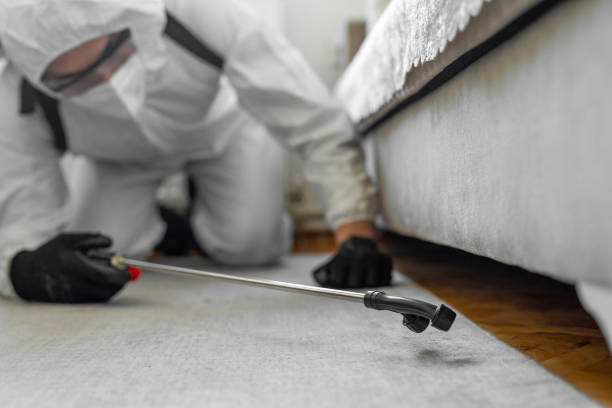 Professional Termite Control technician working in Hermitage, PA