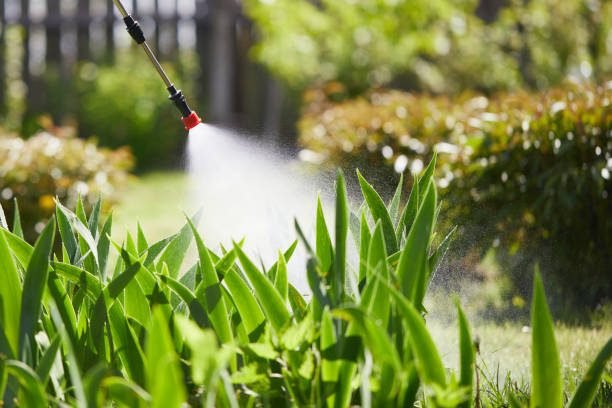 24/7 Emergency Termite Control experts in Hermitage, PA